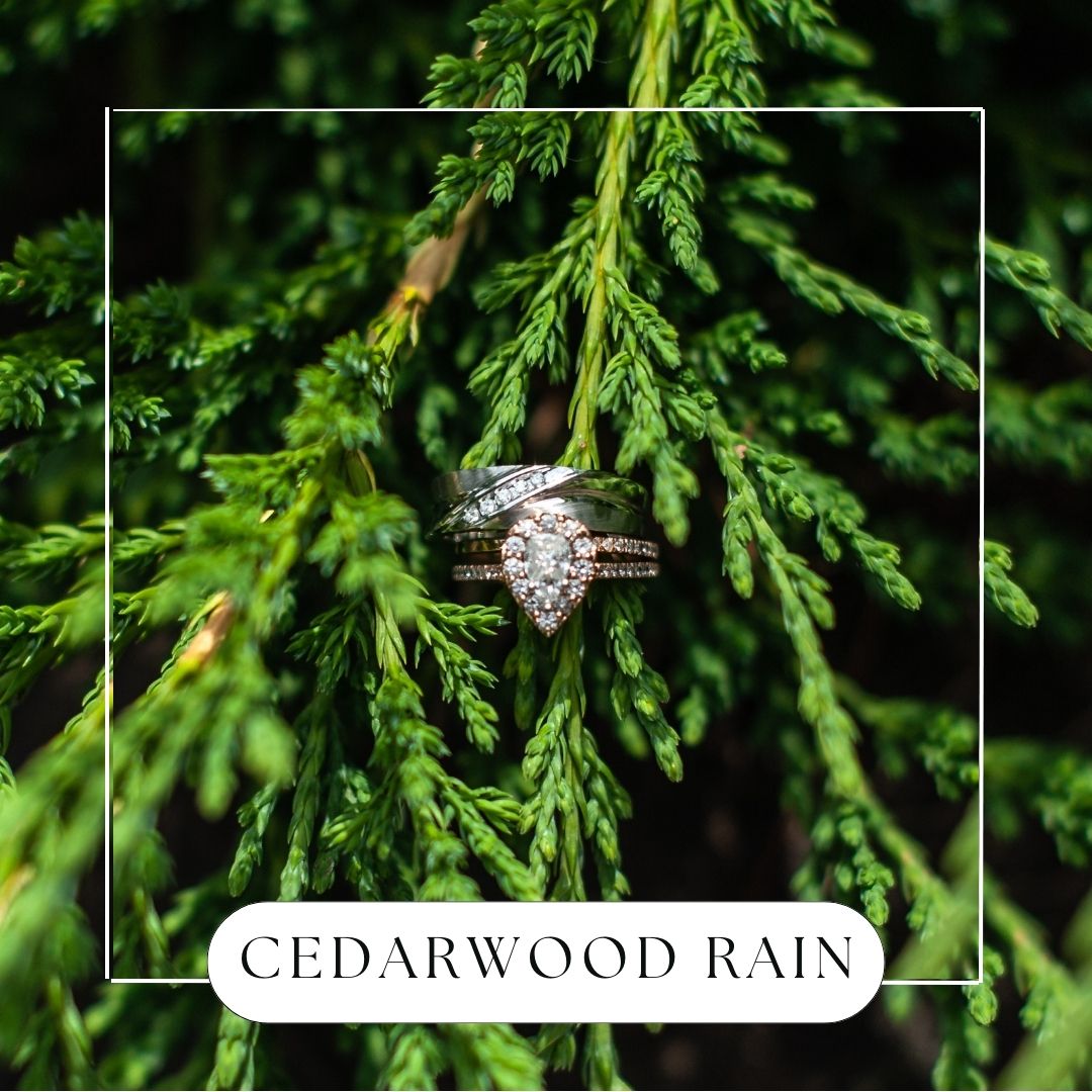 Cedarwood Rain Hanging Reed Diffuser